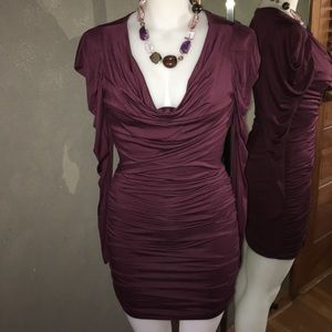 NWOT Shirred Cowl Neck Long Sleeve Mini Dress S